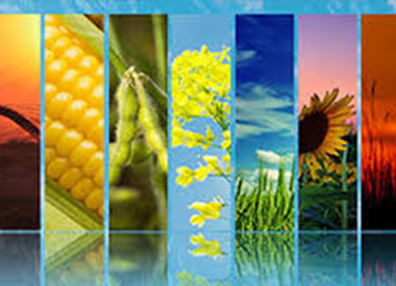 Рослинництво України