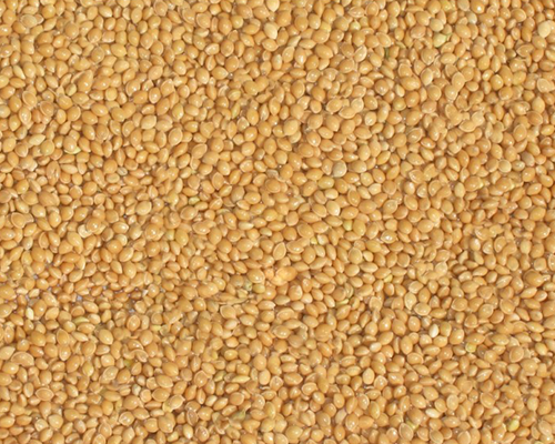 Просо: Омріяне (еліта 1-репродукція), насіння ярих культур