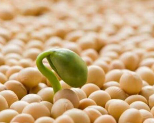 Соя в асортименті від Глорія, ПСП