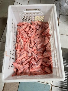 Крила індичі від виробника гуртові поставки по Україні