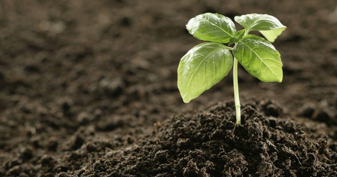 Добриво Органік Д-2М