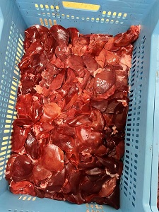 Печінка індика гуртом, свіжа індича продукція