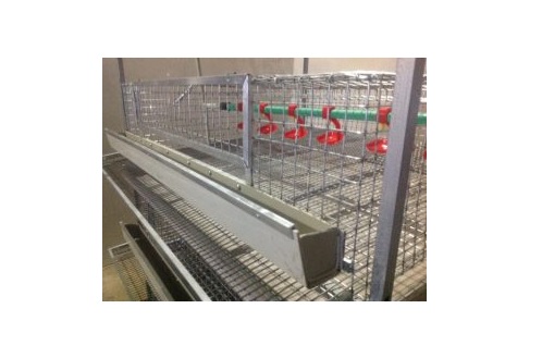 Клітки для перепелів, кліткове обладнання для птахівництва