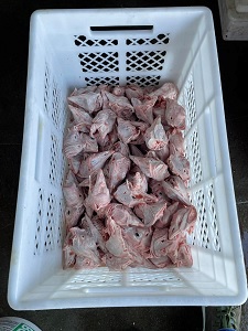 Голови індичі гуртом, сировина для кормів та переробки