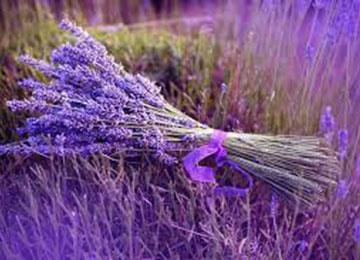 Прованс по-українськи