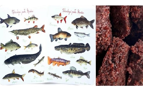 Екологічний корм для риби для зміцнення імунітету