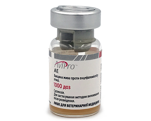 Купити вакцину живу AviPro AE для птиці