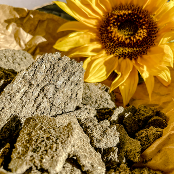 Макуха соняшникова: джерело білка для тварин