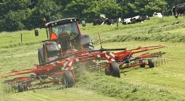 Карусельні граблі Lely Hibiscus CD