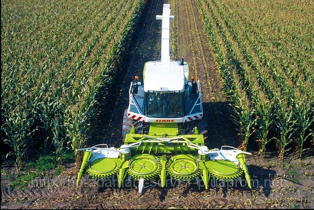 Комбайни CLAAS JAGUAR