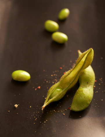 Соя Ліссабон