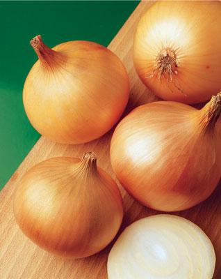 Цибуля Халцедон