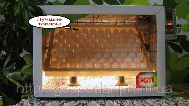 Інкубатор автоматичний (120 яєць)
