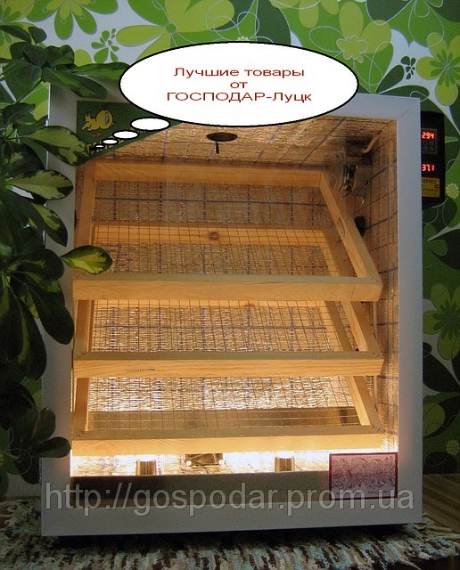 Інкубатор автоматичний (300 яєць)