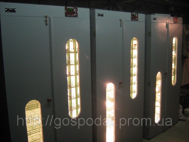 Інкубатор автоматичний Господар на 1500 яєць