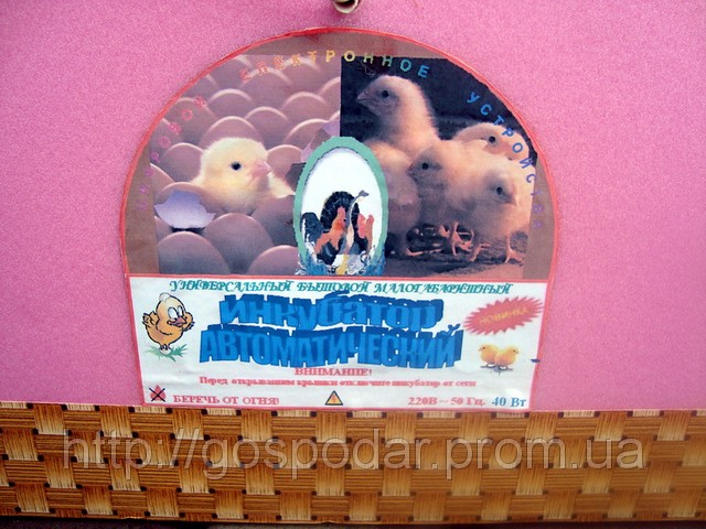 Інкубатор з автоматичним переворотом (80 яєць)