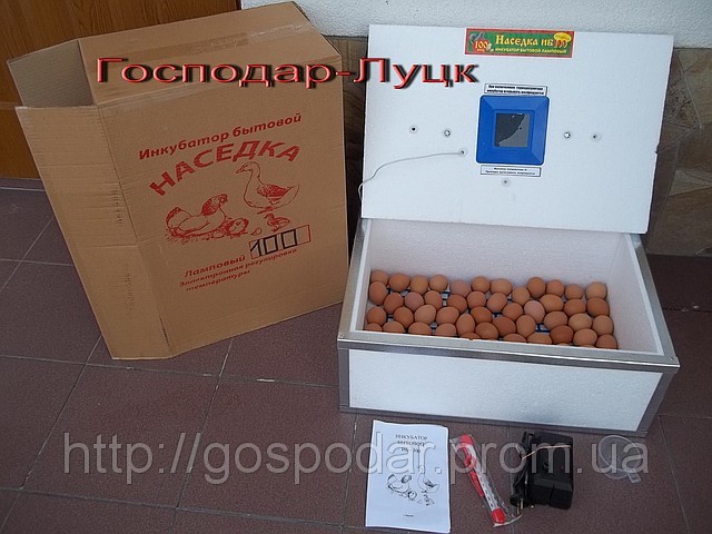 Інкубатор Квочка, побутовий на 100 яєць