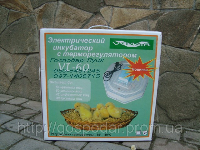 Інкубатор з обдувом «Вімар» на 60 яєць