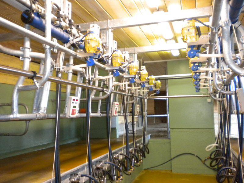 Доїльний зал "Парабон"