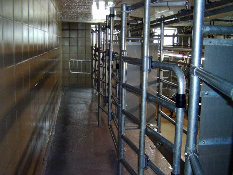 Доїльний зал "Панч"