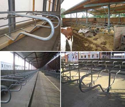 Лежаки Фрізланд і Профіт-бокс