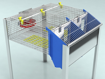 Клітка маточна на 2 кролематки з молодняком