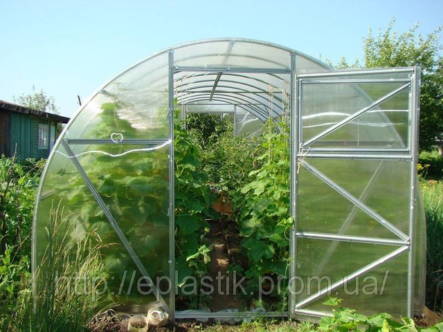 Теплиця 6х3х2 "Економ варіант"