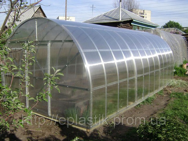 Теплиця 6 метрова з 6 мм. полікарбонатом