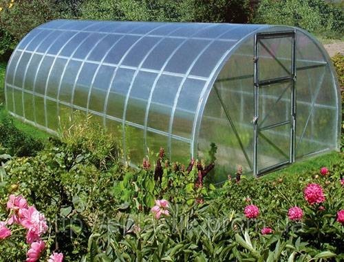 Теплиця полікарбонатна 6х3х2