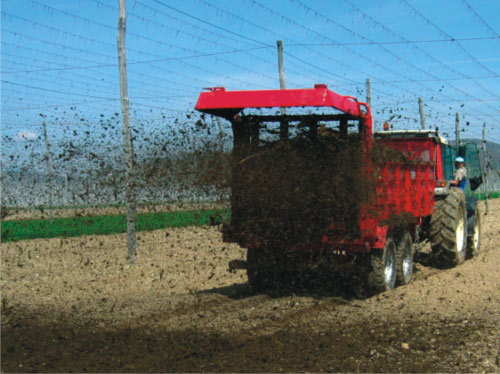 Гній неможливо замінити