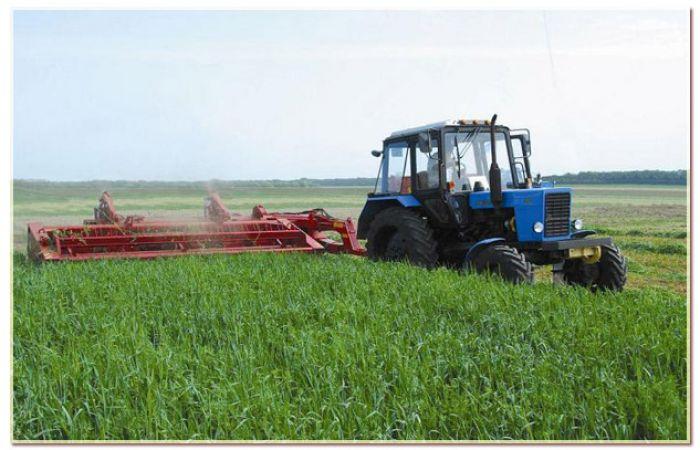 Косарка-плющилка КПП-4,2 «ПАЛЕССЕ CT42»