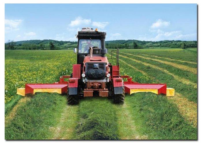 Косарка-плющилка ротаційна КПР-9