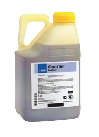 Фастак