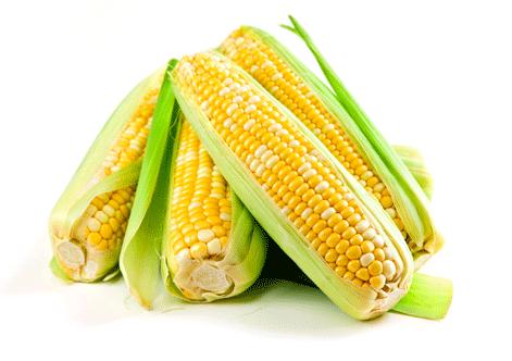 Кукурудза Кадр