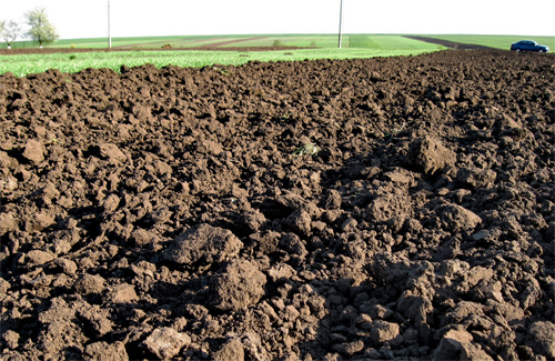 Земля - як основа сільськогосподарської діяльності