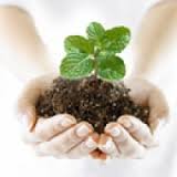 Засоби захисту рослин в асортименті