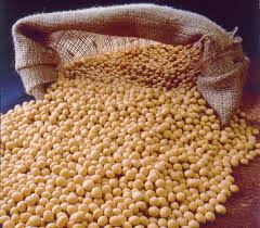 Закуповуємо сою, відходи сої, соняшник по Україні