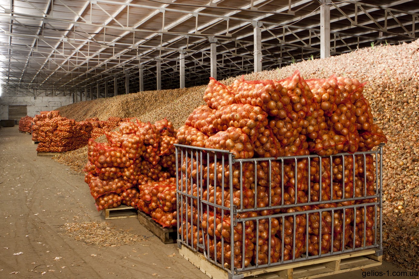 Овочесховища