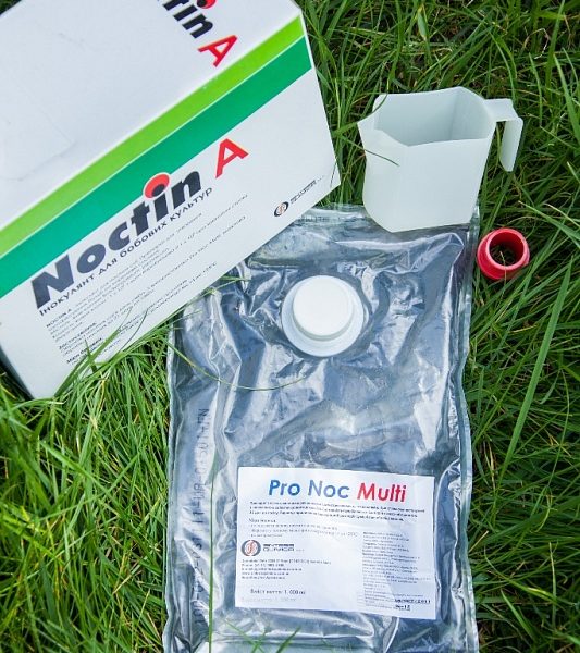 Інокулянти