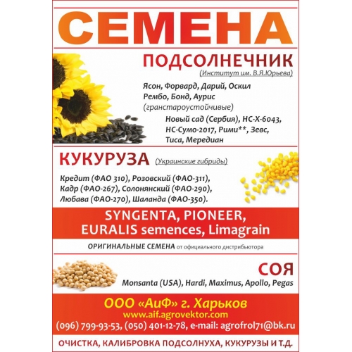 Посівний матеріал український гібрид кукурудзи Любава ФАО-279