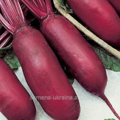 Насіння буряка "Циліндра"