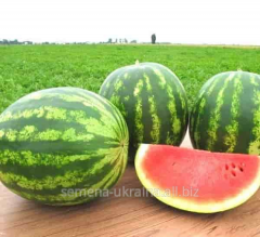 Насіння кавуна Кримсон світ