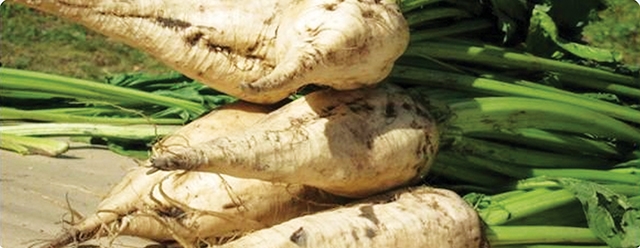 Гербiциди Тріада