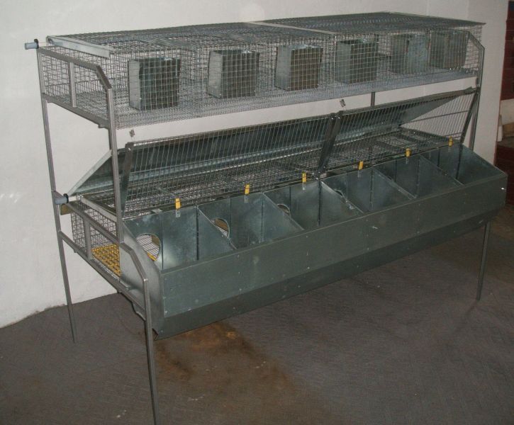 Клітка маточно-відгодівельна пристіночна для кролів