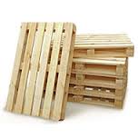 Європіддони