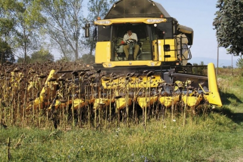 Жатка для збирання врожаю соняшнику Fantini GH3