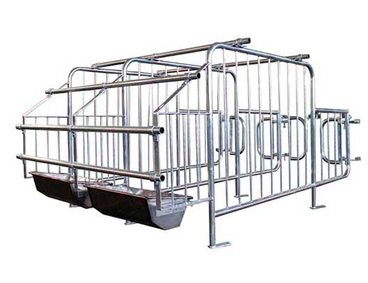 Станок індивідуального утримання свиноматок (осіменіння)
