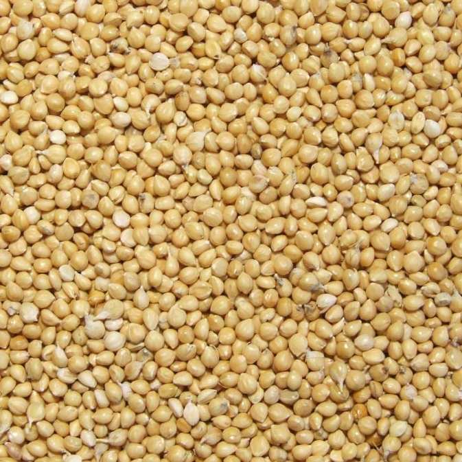 Закуповуємо просо