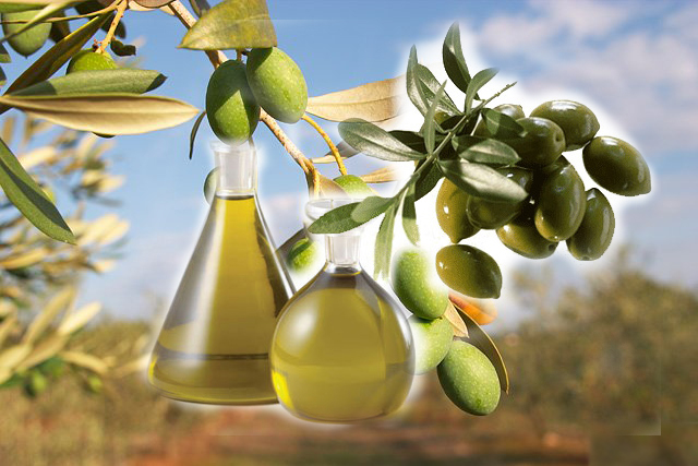 ОЛІЯ ОЛИВКОВА