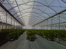 Агрономічний, технологічний супровід господарств-партнерів